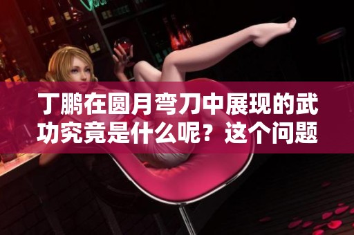 丁鹏在圆月弯刀中展现的武功究竟是什么呢？这个问题值得深入探讨。