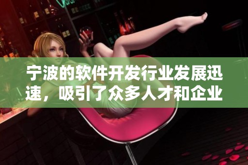 宁波的软件开发行业发展迅速，吸引了众多人才和企业的加入