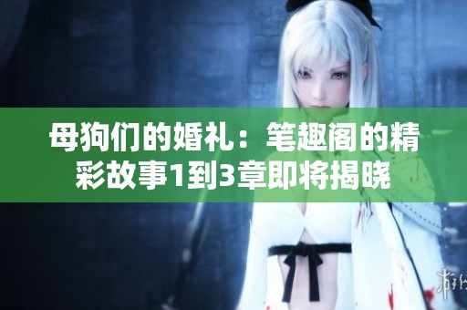 母狗们的婚礼：笔趣阁的精彩故事1到3章即将揭晓