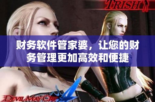 财务软件管家婆，让您的财务管理更加高效和便捷