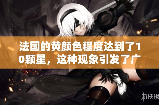 法国的黄颜色程度达到了10颗星，这种现象引发了广泛关注与讨论。