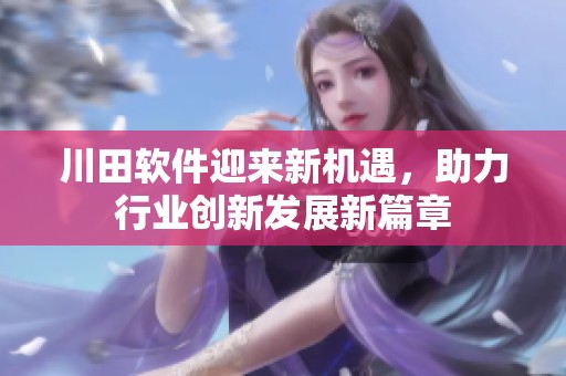 川田软件迎来新机遇，助力行业创新发展新篇章
