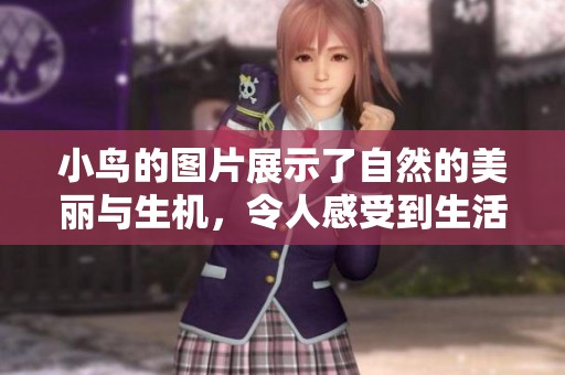 小鸟的图片展示了自然的美丽与生机，令人感受到生活的乐趣与活力