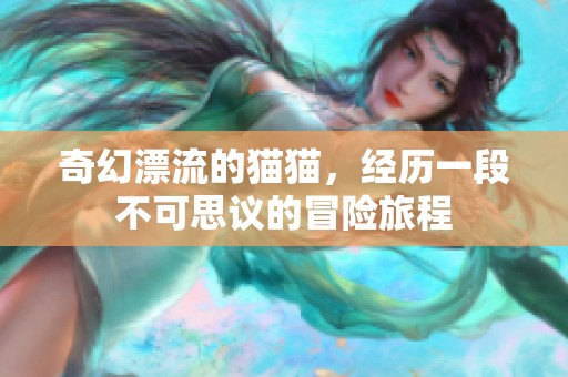 奇幻漂流的猫猫，经历一段不可思议的冒险旅程