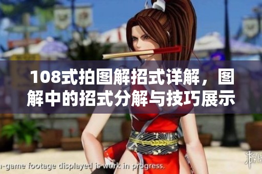 108式拍图解招式详解，图解中的招式分解与技巧展示