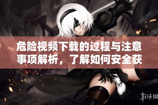 危险视频下载的过程与注意事项解析，了解如何安全获取危险视频内容
