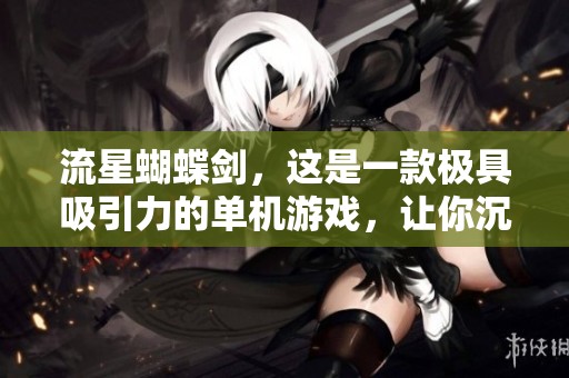 流星蝴蝶剑，这是一款极具吸引力的单机游戏，让你沉浸其中。