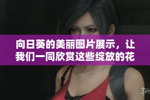 向日葵的美丽图片展示，让我们一同欣赏这些绽放的花朵魅力