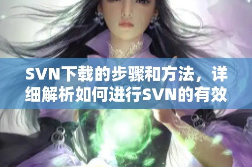SVN下载的步骤和方法，详细解析如何进行SVN的有效下载