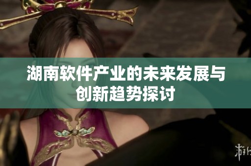 湖南软件产业的未来发展与创新趋势探讨