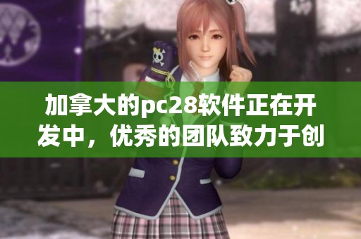 加拿大的pc28软件正在开发中，优秀的团队致力于创新与智能化技术