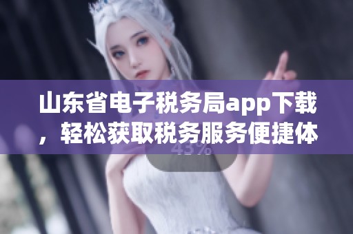 山东省电子税务局app下载，轻松获取税务服务便捷体验和更多功能