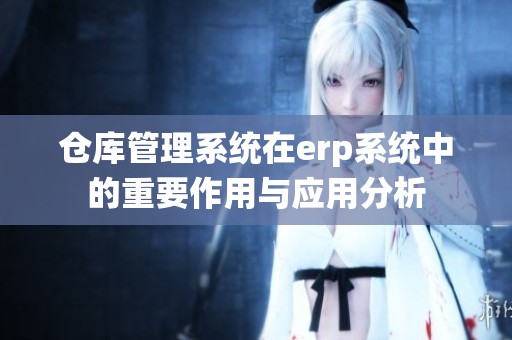 仓库管理系统在erp系统中的重要作用与应用分析