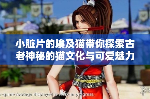 小脏片的埃及猫带你探索古老神秘的猫文化与可爱魅力