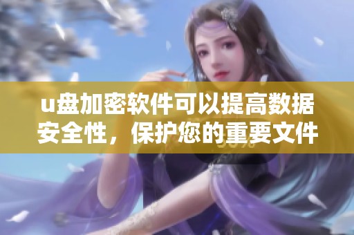 u盘加密软件可以提高数据安全性，保护您的重要文件不被泄露