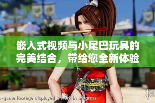 嵌入式视频与小尾巴玩具的完美结合，带给您全新体验的乐趣
