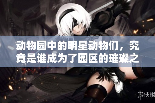 动物园中的明星动物们，究竟是谁成为了园区的璀璨之星呢