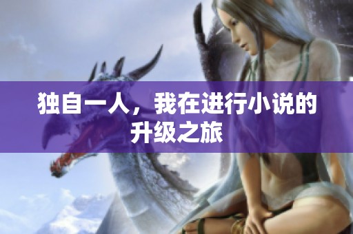 独自一人，我在进行小说的升级之旅
