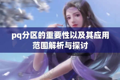 pq分区的重要性以及其应用范围解析与探讨