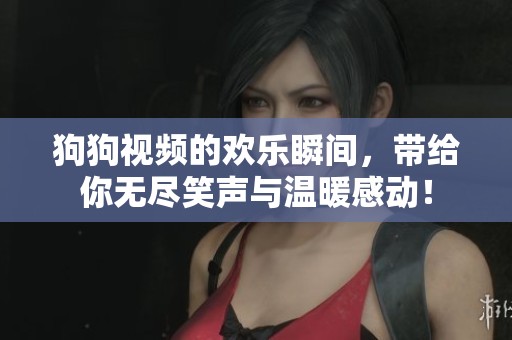 狗狗视频的欢乐瞬间，带给你无尽笑声与温暖感动！