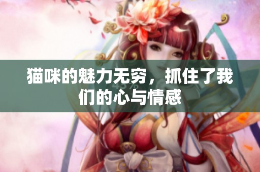 猫咪的魅力无穷，抓住了我们的心与情感