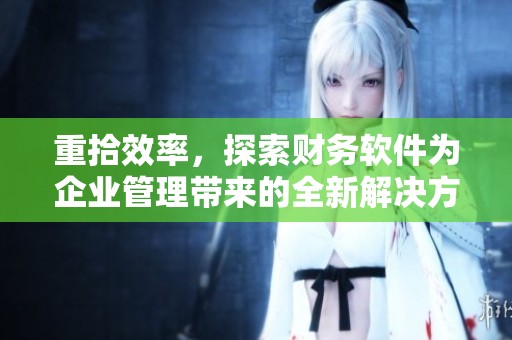 重拾效率，探索财务软件为企业管理带来的全新解决方案