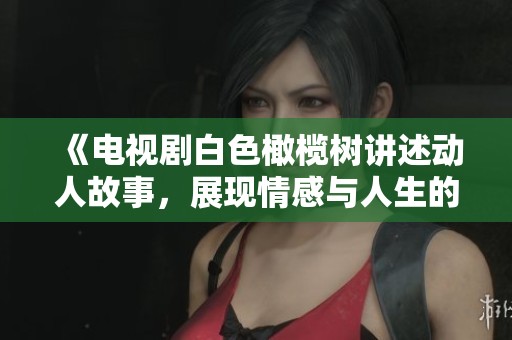 《电视剧白色橄榄树讲述动人故事，展现情感与人生的多重纠葛》