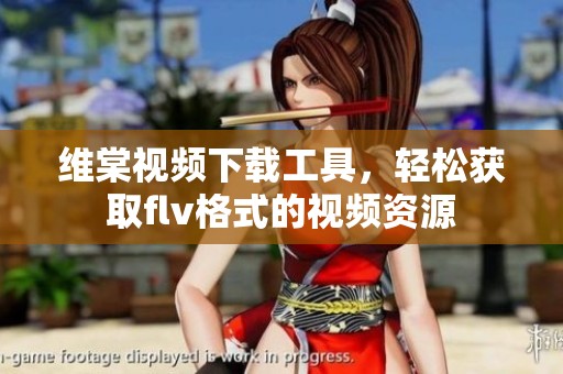 维棠视频下载工具，轻松获取flv格式的视频资源