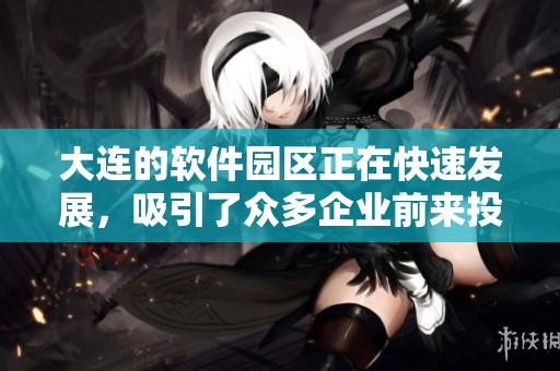 大连的软件园区正在快速发展，吸引了众多企业前来投资与合作。