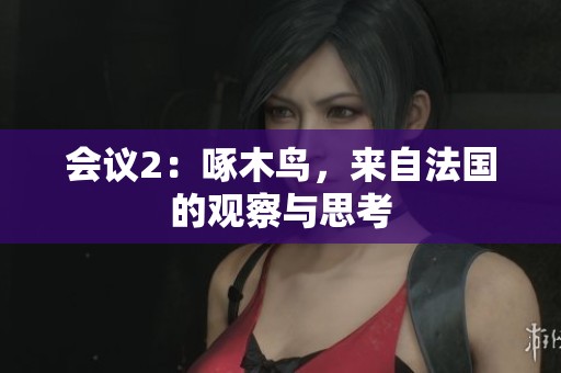 会议2：啄木鸟，来自法国的观察与思考
