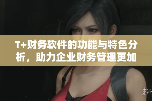 T+财务软件的功能与特色分析，助力企业财务管理更加高效