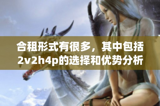 合租形式有很多，其中包括2v2h4p的选择和优势分析