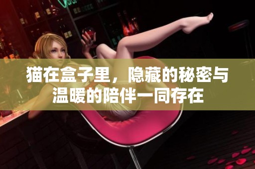 猫在盒子里，隐藏的秘密与温暖的陪伴一同存在