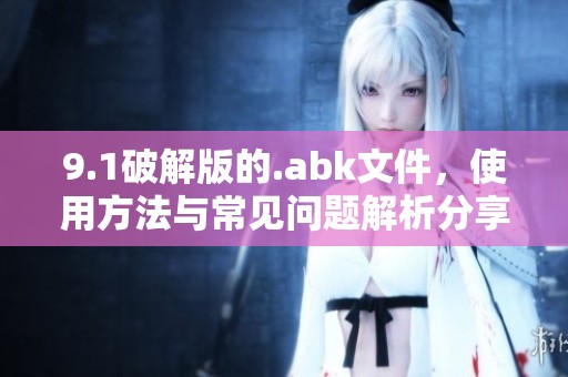 9.1破解版的.abk文件，使用方法与常见问题解析分享