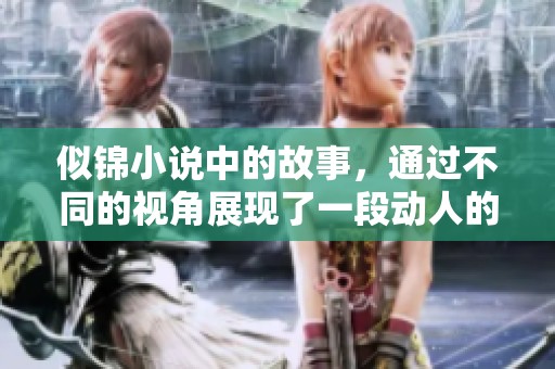 似锦小说中的故事，通过不同的视角展现了一段动人的情感之旅