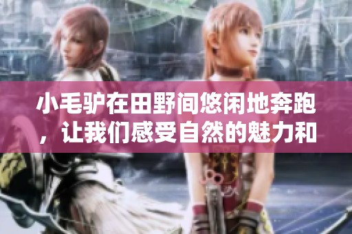 小毛驴在田野间悠闲地奔跑，让我们感受自然的魅力和乐趣。
