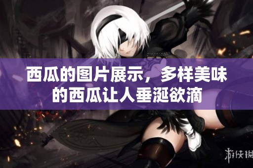 西瓜的图片展示，多样美味的西瓜让人垂涎欲滴