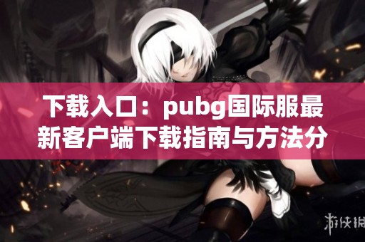 下载入口：pubg国际服最新客户端下载指南与方法分享