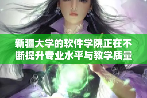 新疆大学的软件学院正在不断提升专业水平与教学质量