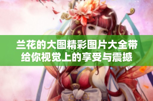 兰花的大图精彩图片大全带给你视觉上的享受与震撼