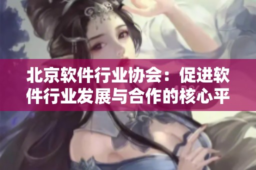 北京软件行业协会：促进软件行业发展与合作的核心平台