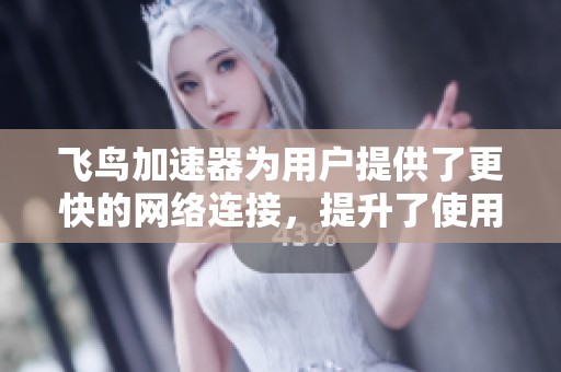 飞鸟加速器为用户提供了更快的网络连接，提升了使用体验和效率。