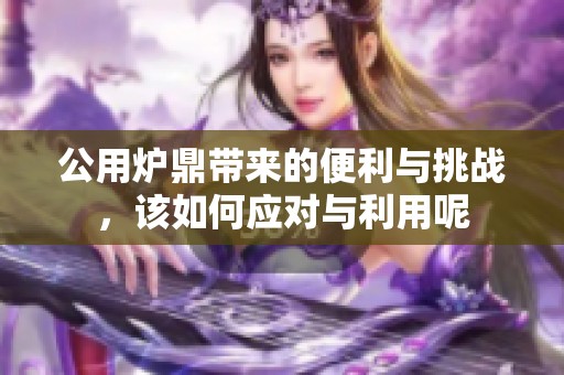 公用炉鼎带来的便利与挑战，该如何应对与利用呢