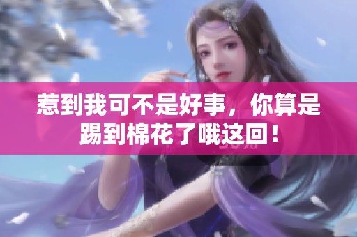 惹到我可不是好事，你算是踢到棉花了哦这回！