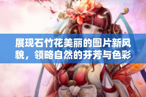 展现石竹花美丽的图片新风貌，领略自然的芬芳与色彩丰富的魅力
