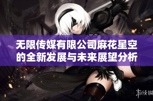 无限传媒有限公司麻花星空的全新发展与未来展望分析