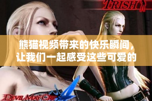 熊猫视频带来的快乐瞬间，让我们一起感受这些可爱的动物魅力吧