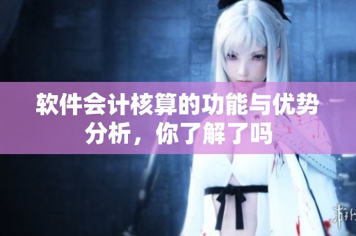 软件会计核算的功能与优势分析，你了解了吗
