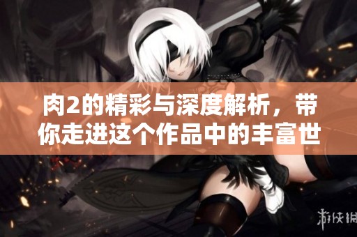 肉2的精彩与深度解析，带你走进这个作品中的丰富世界