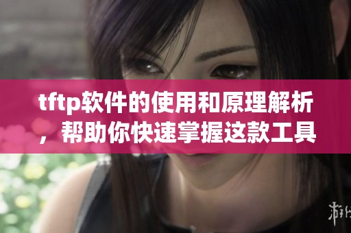 tftp软件的使用和原理解析，帮助你快速掌握这款工具的功能与特点